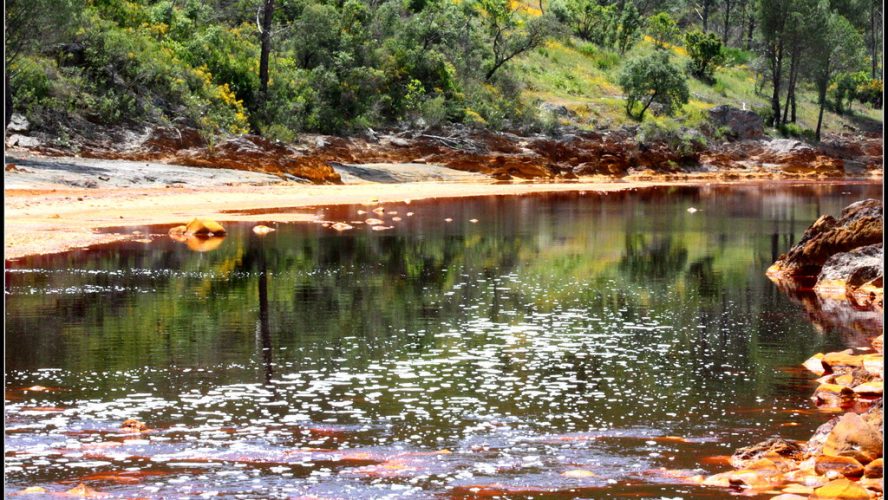Huelva en otoño: colores, sabores y planes para la temporada
