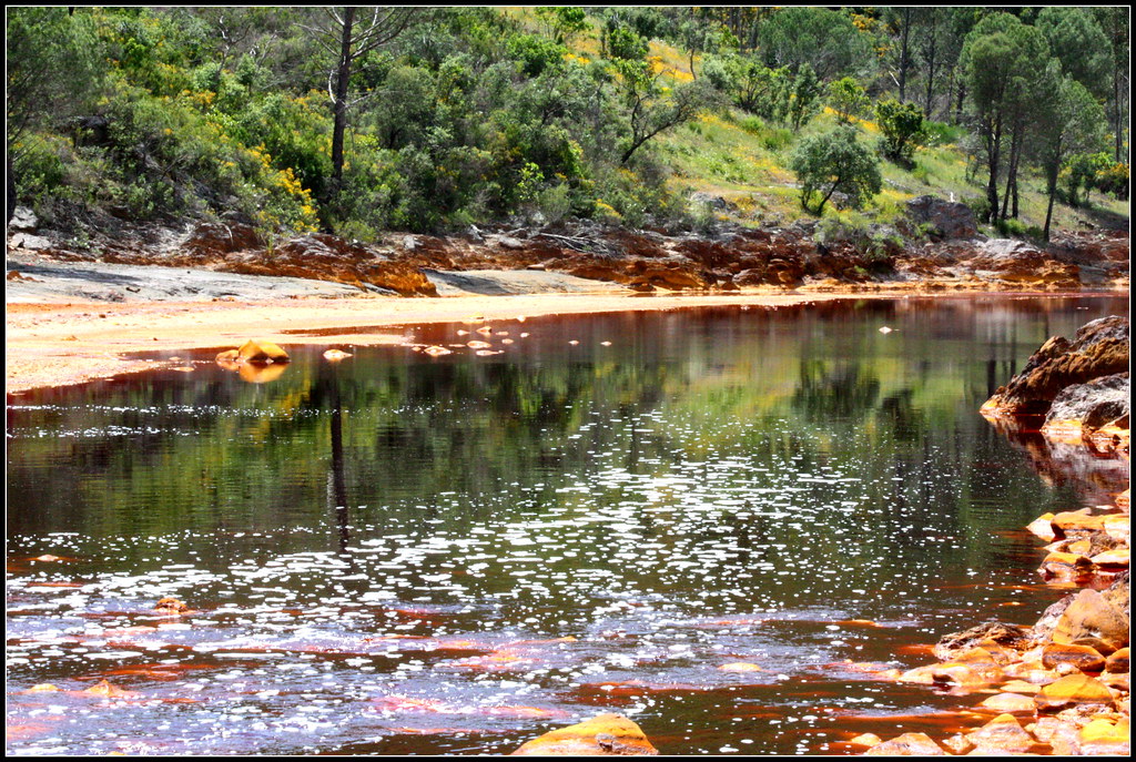 Huelva en otoño: colores, sabores y planes para la temporada