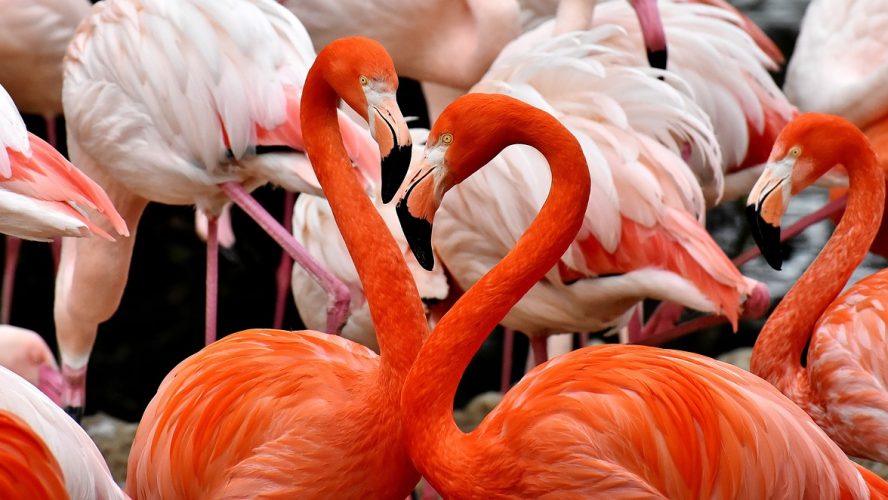 Qué ver en Huelva: 10 lugares imprescindibles para tu viaje