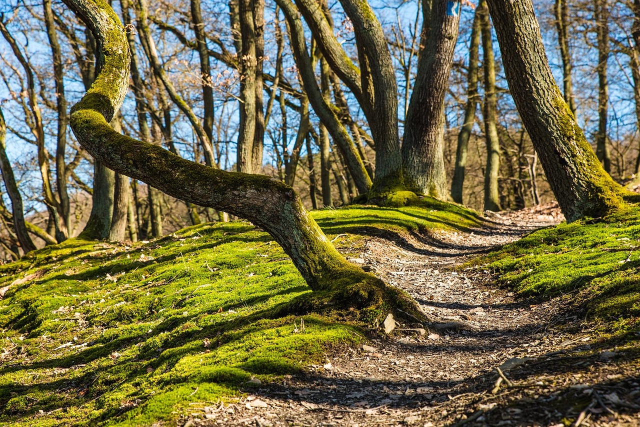 Turismo activo en Huelva: rutas de senderismo, kayak y aventura
